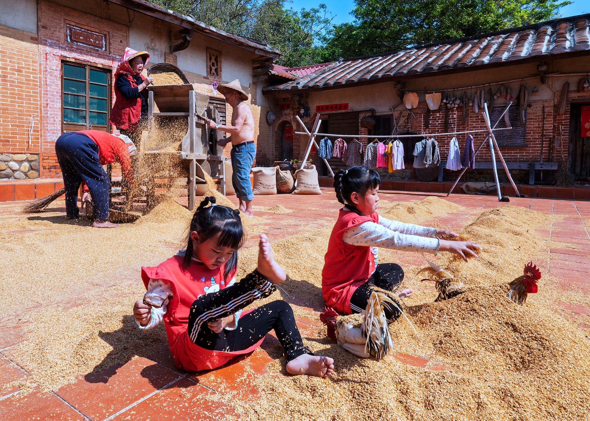 銅牌  農家樂02  何為今